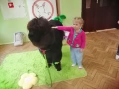 większy obrazek nr 87