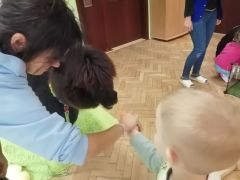 większy obrazek nr 90