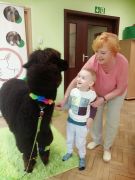 większy obrazek nr 91