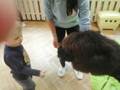 większy obrazek nr 92