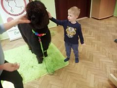 większy obrazek nr 93