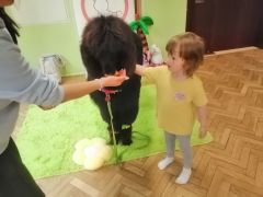 większy obrazek nr 97