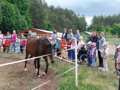 większy obrazek nr 14