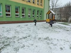 większy obrazek nr 6