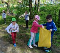 większy obrazek nr 13