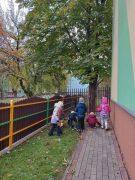 większy obrazek nr 4