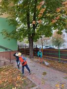 większy obrazek nr 7