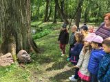 większy obrazek nr 4