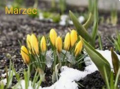 ilustracja do wpisu 
Zamierzenia dydaktyczne na miesiąc Marzec