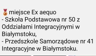 większy obrazek nr 3
