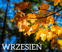 ilustracja do wpisu 
WRZESIEŃ