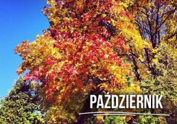 ilustracja do wpisu 
Październik