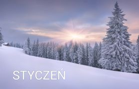 ilustracja do wpisu 
STYCZEŃ