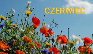 ilustracja do wpisu 
czerwiec