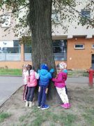 większy obrazek nr 4