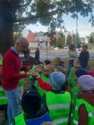 większy obrazek nr 1