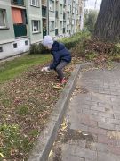 większy obrazek nr 6