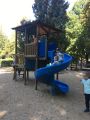 ilustracja do wpisu 
Letni park