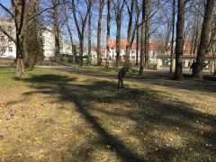 większy obrazek nr 6