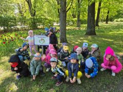 większy obrazek nr 4
