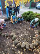 ilustracja do wpisu 
POLA NADZIEI