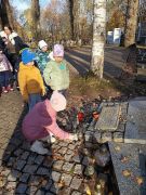 większy obrazek nr 13